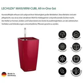LECHUZA Mini-Cubi Komplettset 9,5 x 9,5 x 18,5 cm scarlet rot hochglanz