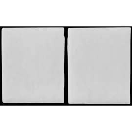 WOLF-Garten Wolf Service-Set Filter 1669163 173 x 141 mm, für CWL-F-150