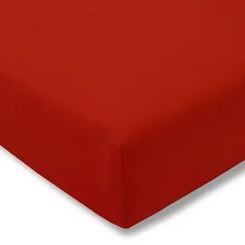 Estella Spannbettlaken Zwirnjersey 6900 200 x 200 cm purpur