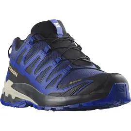 Salomon XA Pro 3D V9 GTX Herren Blue Print/Surf The Web/Lapis Blue 42