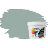 RyFo Colors Silikonharz Fassadenfarbe Lotuseffekt Trend Moosgrau 3l - bunte Fassadenfarbe, weitere Grau Farbtöne und Größen erhältlich, Deckkraft Klasse 1