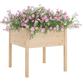 vidaXL Pflanzkübel 70 x 70 x 70 cm Braun