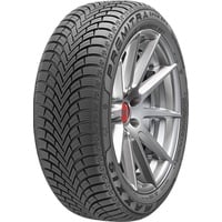 Maxxis Premitra Snow WP6 235/40 R19 96W