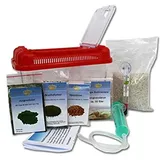 Triops King Urzeitkrebse Einsteiger Set II 150 Eier und einem grünen Deckel - Inkl. Futter, Anleitung, Sand, Thermometer, Triopseiern der Art Longicaudatus und vielem mehr