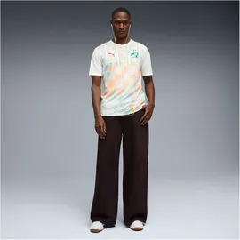 Puma Elfenbeinküste Auswärtstrikot 2026 Herren Gr. L