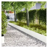 vidaXL Raseneinfassung 100 x 0,05 x 20 cm 20 Stück Weiß