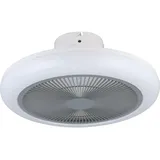EGLO Kostrena 45,5 cm Deckenventilator Grau-Weiß