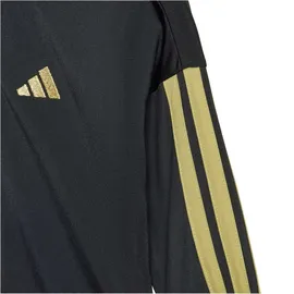 adidas Essentials Climacool Trainingsanzug Black / Gold Met. 74