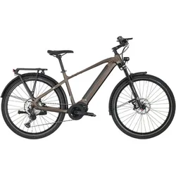 Carver SUV E.450 Braun Modell 2024