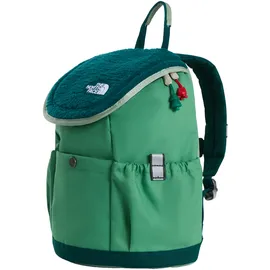The North Face Y MINI EXPLORER grün