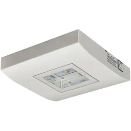Ceag Notlichtsysteme LED-Einzelbatterie-Leuchte 13822.2 1-8/DCGLine+