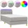 vidaXL Boxspringbett 100 x 200 cm Hellgrau