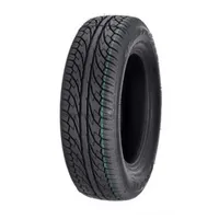 Profil Speed Pro 300 195/65 R15 91H