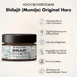 xtra fuel Shilajit Harz Original Himalaya Mumijo 2 x 30 g