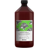 Davines Naturaltech Renewing Shampoo 1000 ml