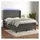 vidaXL Boxspringbett mit Matratze & LED Dunkelgrau 140x200 cm Samt