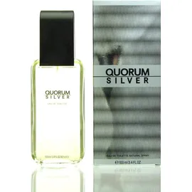 PUIG Quorum Silver Eau de Toilette 100 ml