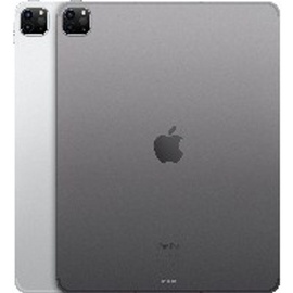 Apple iPad Pro 12,9" (6. Generation 2022) 1 TB Wi-Fi + Cellular space grau