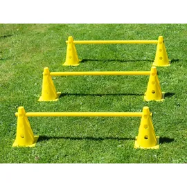 Procyon Agility Set für Hundetraining 2er Set, mehrteiliges Steckhürdenset für Koordinationstraining