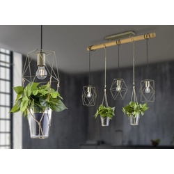 Trio 301000367 Hangende Deckenleuchte Plant 1x28w | E27 | IP20 - keine Dekoration, mattes Nickel, Braun