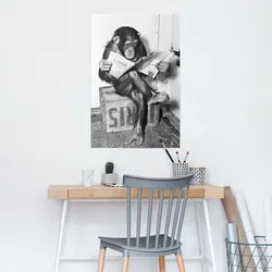 Poster REINDERS "Chimp Zeitung Affe Schimpanse", schwarz (farbe bild(er): schwarz, weiß), B:61cm H:91,5cm, Papier, Bilder