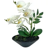 NTK-Collection Kunstblume Orchidee in Schale Leilani