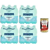 Sorgesana Mineralwasser, 24x50cl, oligomineralisch+Polpa