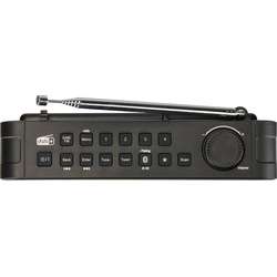 Panasonic D15 Digitalradio (DAB) (Digitalradio (DAB), FM-Tuner, UKW mit RDS, 3 W) grau|schwarz