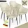 tillvex Gartenstuhl 4er Set 120 x 60 x 90 cm beige