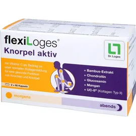 Dr. Loges Flexiloges Knorpel aktiv Kapseln 120 St.