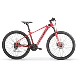 MBM Mountainbike 29 Zoll QUARX