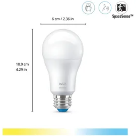 WIZ Smart LED A60 Bulb 60W E27 806 lm 2700 K 1 St.