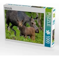Calvendo Puzzle Wachsamer Elch 1000 Teile Lege-Größe 64 x