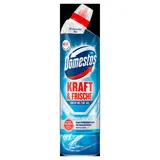Domestos Kraft & Frische Ocean Fresh WC-Reiniger 750 ml