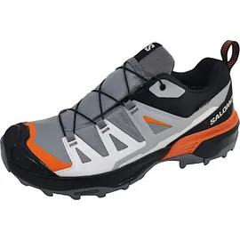 Salomon X Ultra 360 GTX Herren Quiet Shade/Black/Spice Route 47 1/3