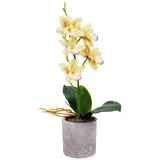 Emyimom Künstliche Orchidee, Kunstblume Schmetterling Orchidee mit Vase Hochzeit Garten Inneneinrichtungen,33cm (Gelb weiß)