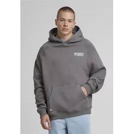 pequs Kapuzensweatshirt grau L