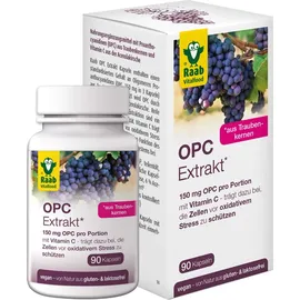 Raab Vitalfood OPC Extrakt Kapseln 90 St.