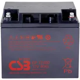 CSB Battery GP 12400 Standby USV GP12400B8 Bleiakku 12 V 40 Ah Blei-Vlies (AGM) (B x H x T) 197 x 171 x 165 mm M5-Verschraubung Wartungsfrei, Low