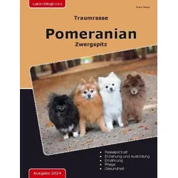 Traumrasse Pomeranian