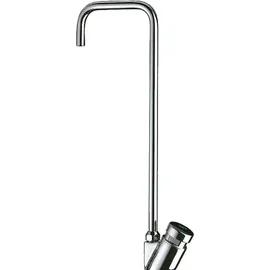 Delabie Trinkbrunnenarmatur Schwanenhals G3/8B