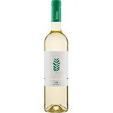 LIV Vinho Verde A&D Wines 2022 - 6Fl. á 0.75l BIO