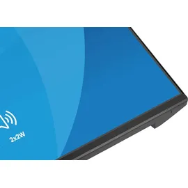 Iiyama ProLite X2491HS-B1 24"