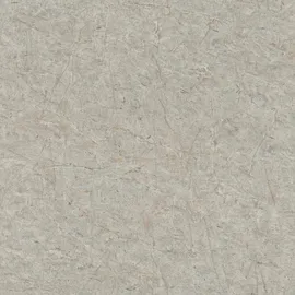 Schöner Wohnen Vliestapete Marmor 10,05 x 0,53 m Betongrau