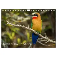 Calvendo Birds of South Africa (Wall Calendar 2026 DIN