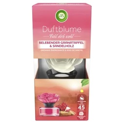 Air Wick Duftblume, Duftaroma sorgt für ein noch nie dagewesenes Dufterlebnis, Duft: Belebender Granatapfel & Sandelholz