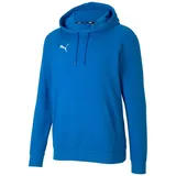 Puma teamGOAL 23 Causals Hoody