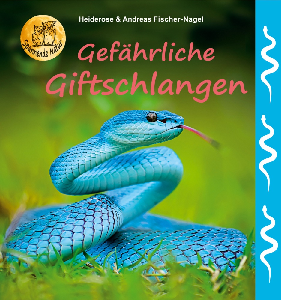 Gefährliche Giftschlangen - Heiderose Fischer-Nagel  Andreas Fischer-Nagel  Gebunden