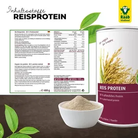 Raab Vitalfood Reisprotein 80% Pulver 400 g