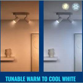 WIZ 50W GU10 Spot Tunable White & Color 4 Stück